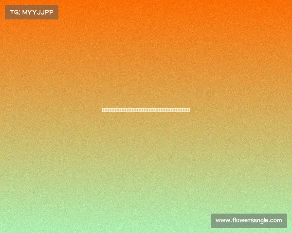 最新女排赛事直播在线观看最新女排赛事直播精彩对决激战正酣在线收看火热开启