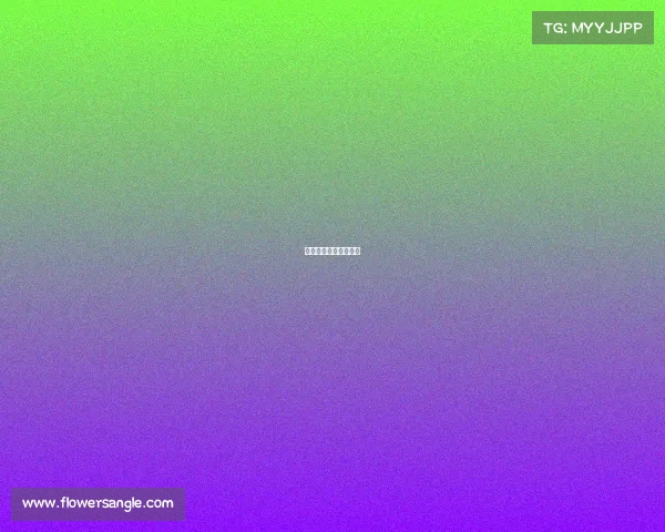 西篮联赛篮球录像回放